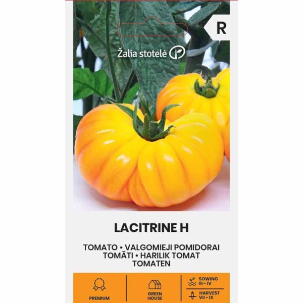 Zoom billede af Tomat 'Lacitrine' H