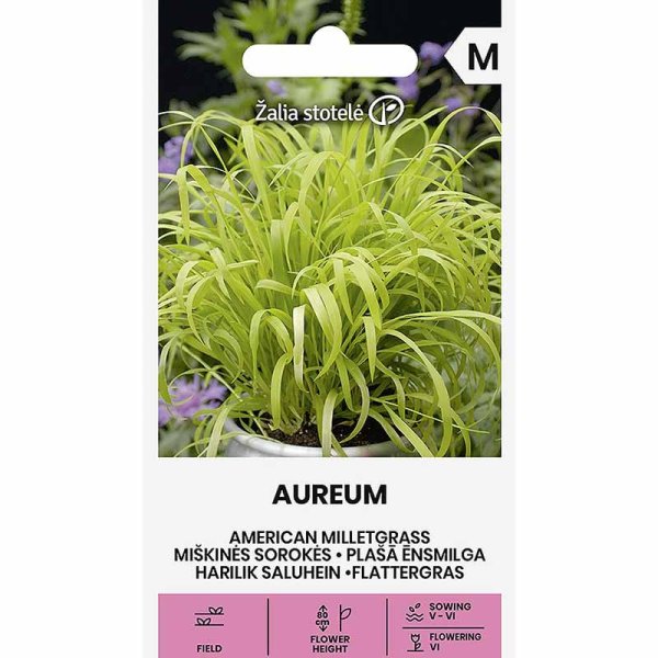 Zoom billede af Hirsegræs 'Aureum'