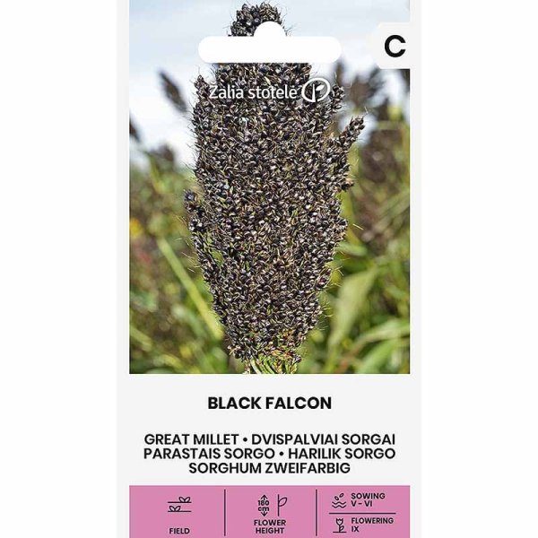 Zoom billede af Perlehirse 'Black Falcon'