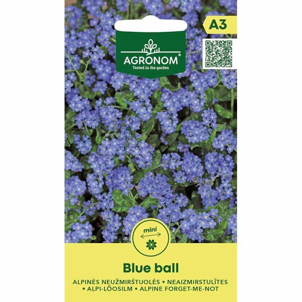 Zoom billede af Alpin Forglemmigej 'Blue Ball'