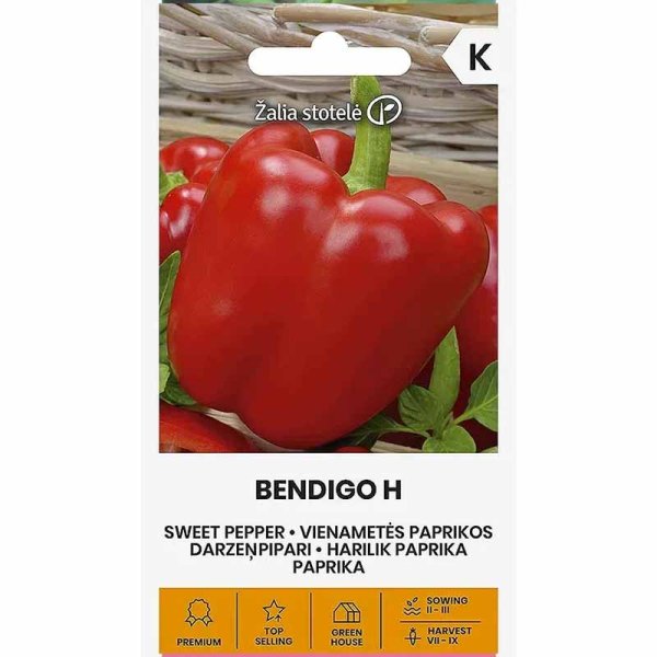 Zoom billede af Peberfrugt 'Bendigo' F1