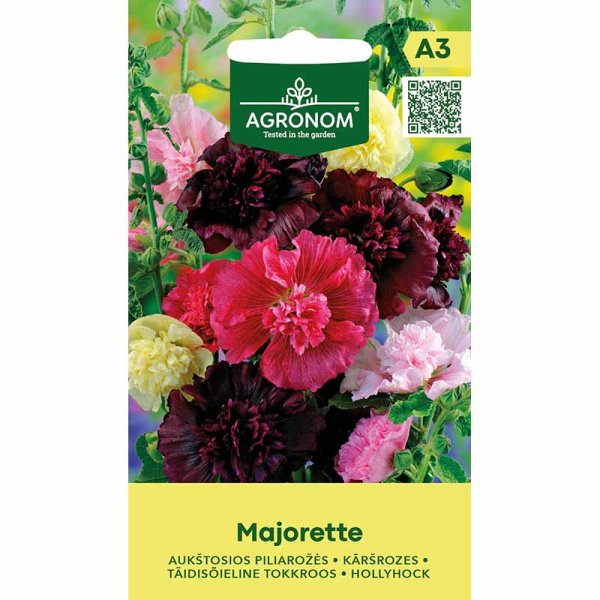 Zoom billede af Stokrose 'Majorette'