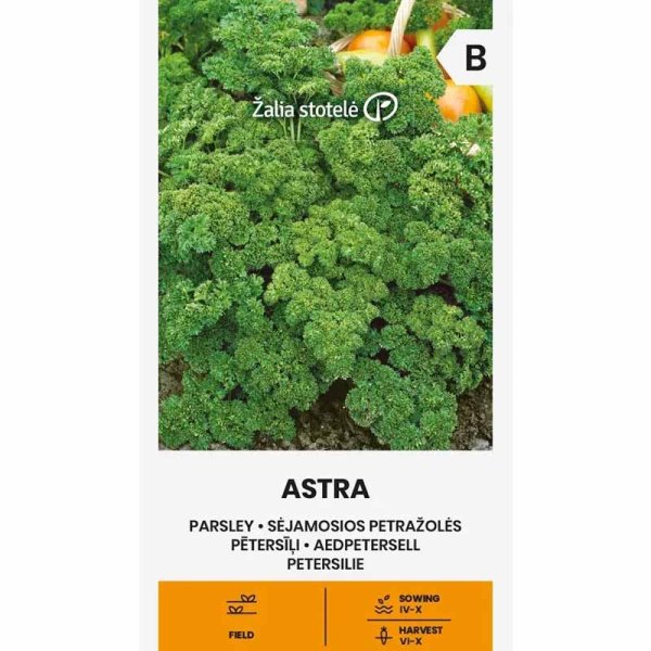 Zoom billede af Persille 'Astra'