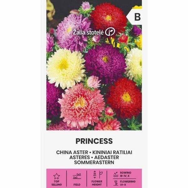 Zoom billede af Sommerasters 'Princess mix'