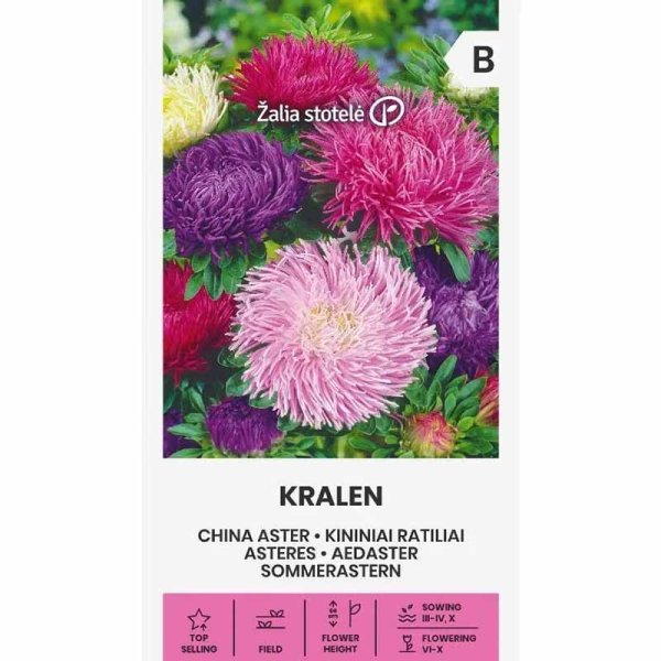 Zoom billede af Sommerasters 'Kralen'