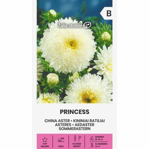 Zoom billede af Sommerasters 'Princess' Hvid