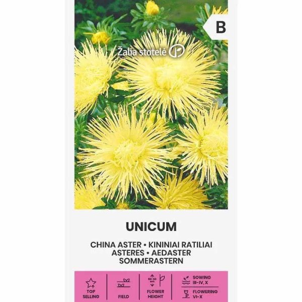 Zoom billede af Sommerasters 'Unicum' Gul
