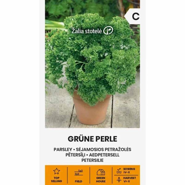 Zoom billede af Persille 'Grüne perle'