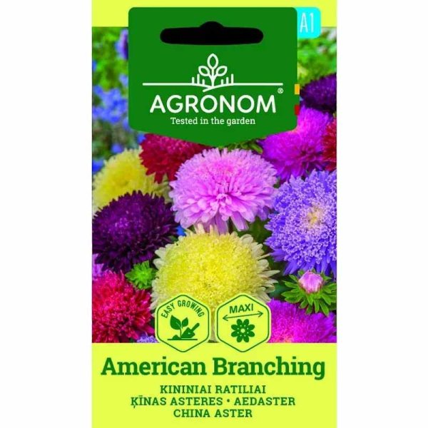 Zoom billede af Sommerasters 'American Branching'