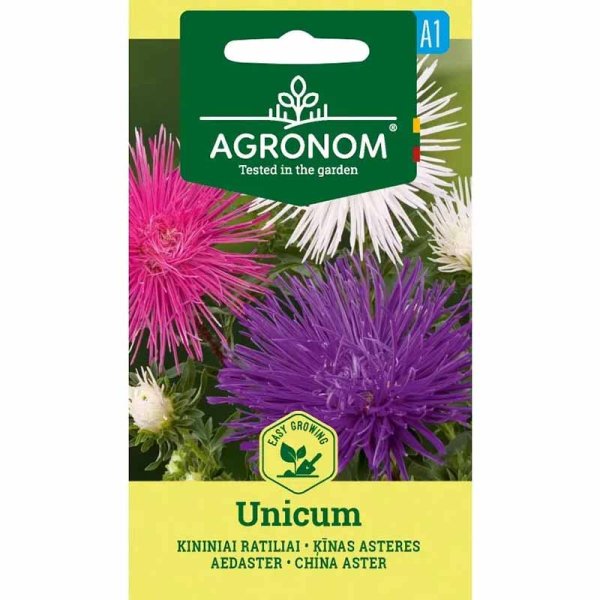Zoom billede af Sommerasters 'Unicum Pink'