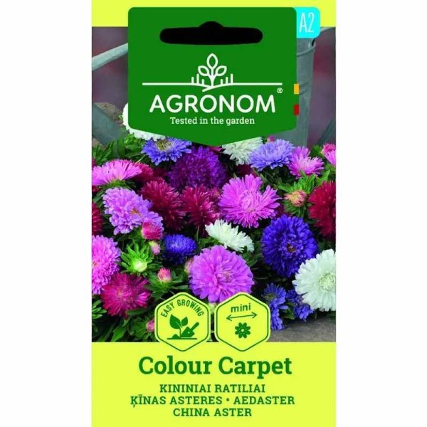Zoom billede af Sommerasters 'Colour Carpet Mix'