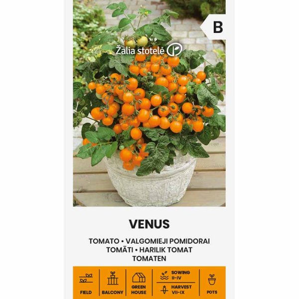 Zoom billede af Tomat 'Venus'
