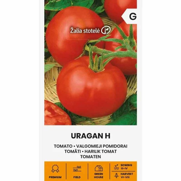 Zoom billede af Tomat 'Uragan' H