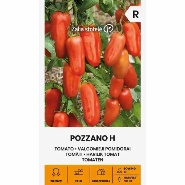 Zoom billede af Tomat 'Pozzano' H