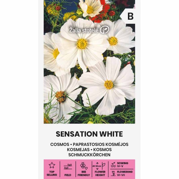 Zoom bilde av Kosmos 'Sensation white'