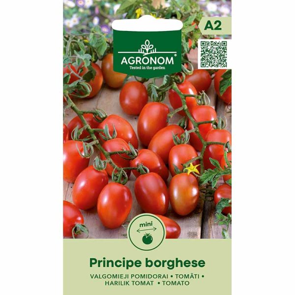 Zoom billede af Tomat 'Principe borghese'