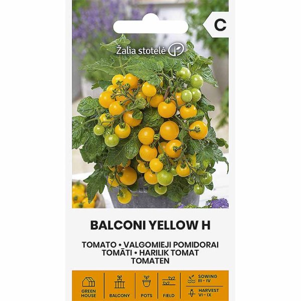 Zoom billede af Tomat 'Balconi yellow' H
