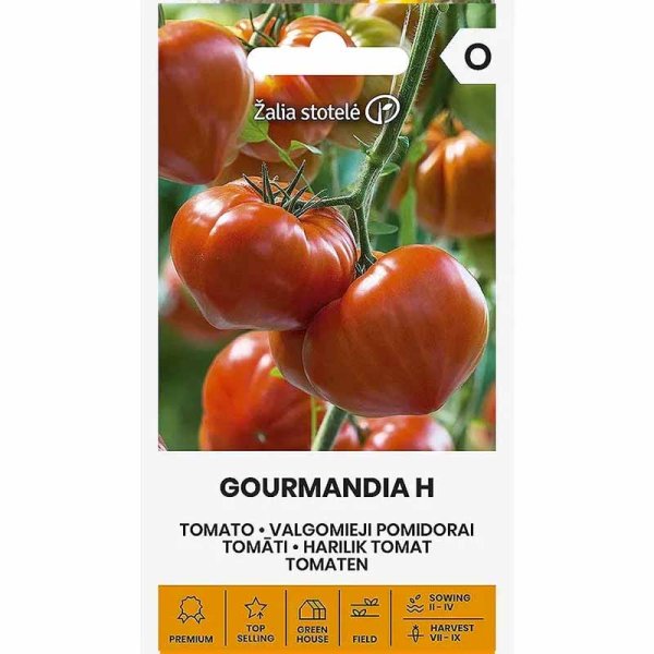 Zoom billede af Bøftomat 'Gourmandia' H