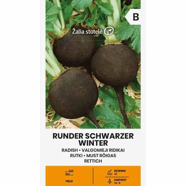 Zoom billede af Radise 'Runder schwarzer winter'