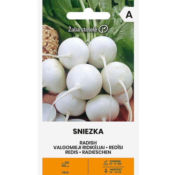 Zoom billede af Radise 'Sniezka'