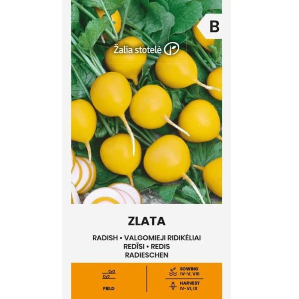 Zoom billede af Radise 'Zlata'