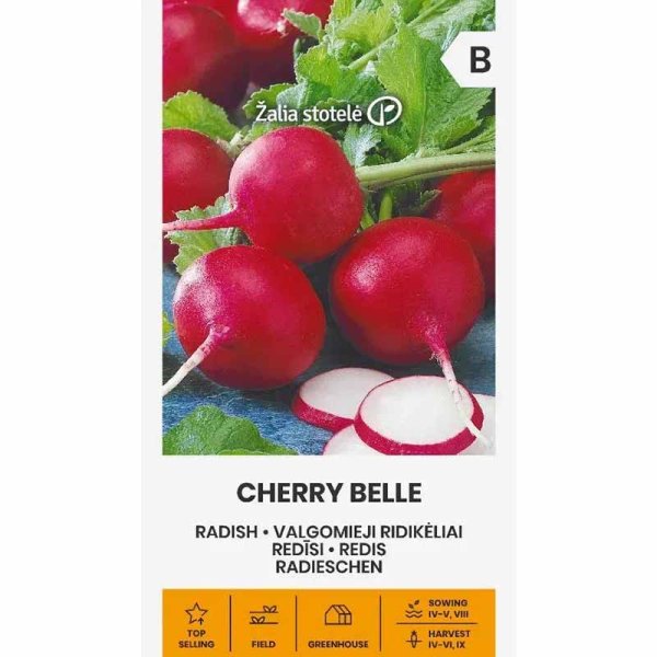 Zoom billede af Radise 'Cherry belle'