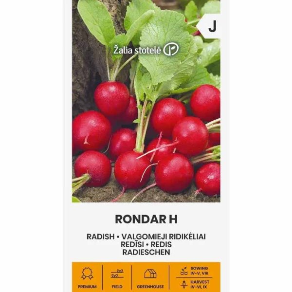 Zoom billede af Radise 'Rondar' H