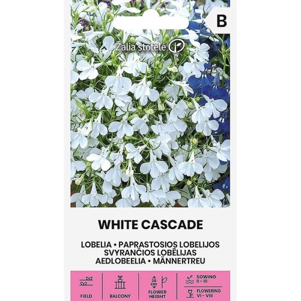 Zoom billede af Lobelia 'White Cascade'