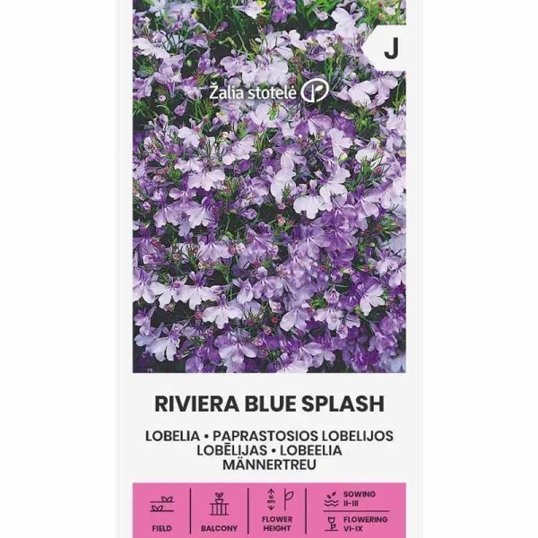 Zoom billede af Lobelia 'Riviera Blue Splash'