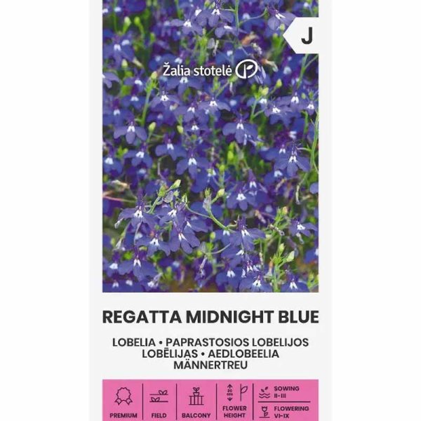 Zoom billede af Hængelobelia 'Midnight blue'