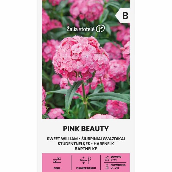 Zoom billede af Studenternellike 'Pink Beauty'