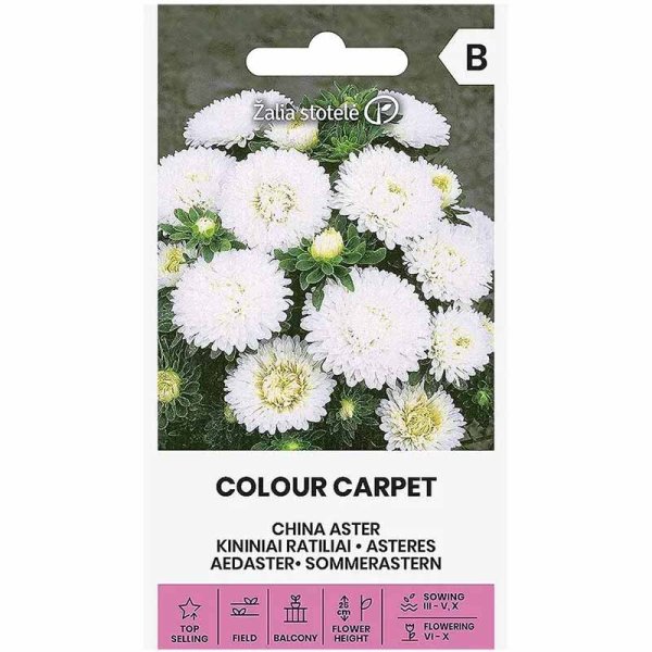 Zoom billede af Sommerasters 'Colour Carpet' Hvid