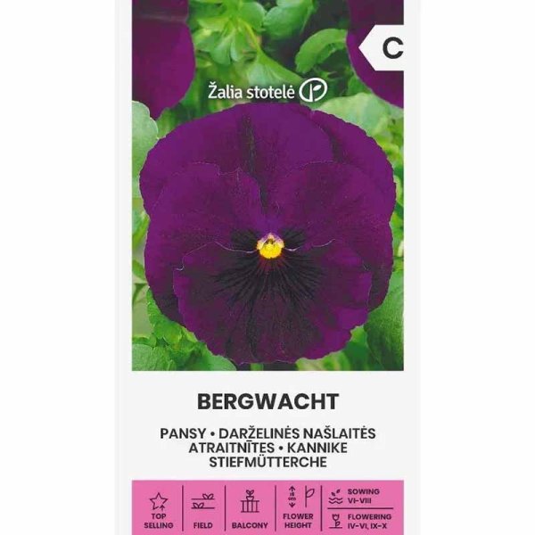 Zoom billede af Stedmoderblomst 'Bergwacht'