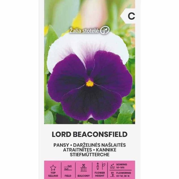 Zoom billede af Stedmoderblomst 'Lord beaconsfield'
