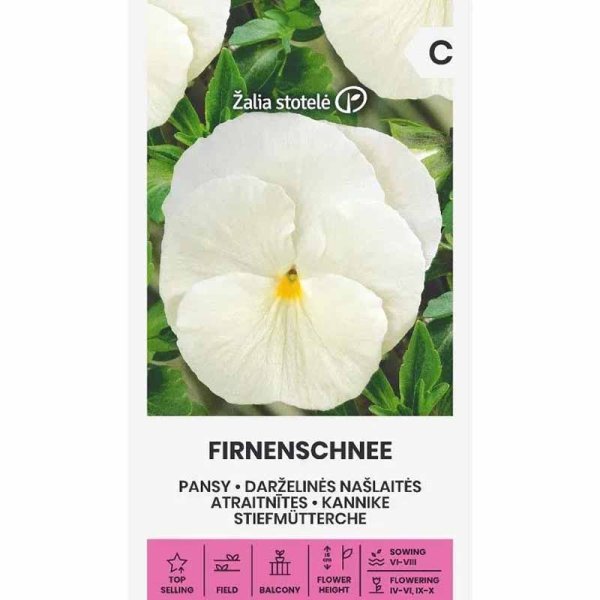 Zoom billede af Stedmoderblomst 'Firnenschnee'