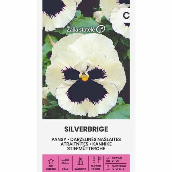 Zoom billede af Stedmoderblomst 'Silverbrige'