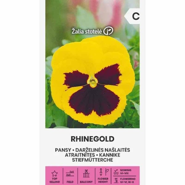 Zoom billede af Stedmoderblomst 'Rhinegold'