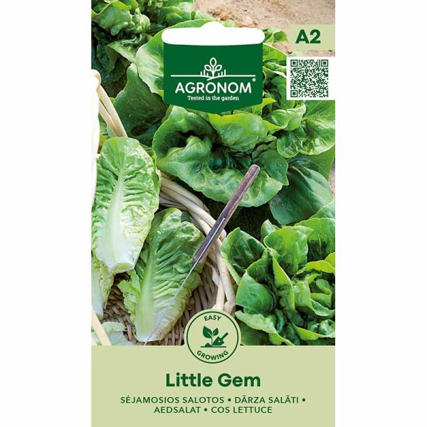 Zoom billede af Salat 'Little Gem'