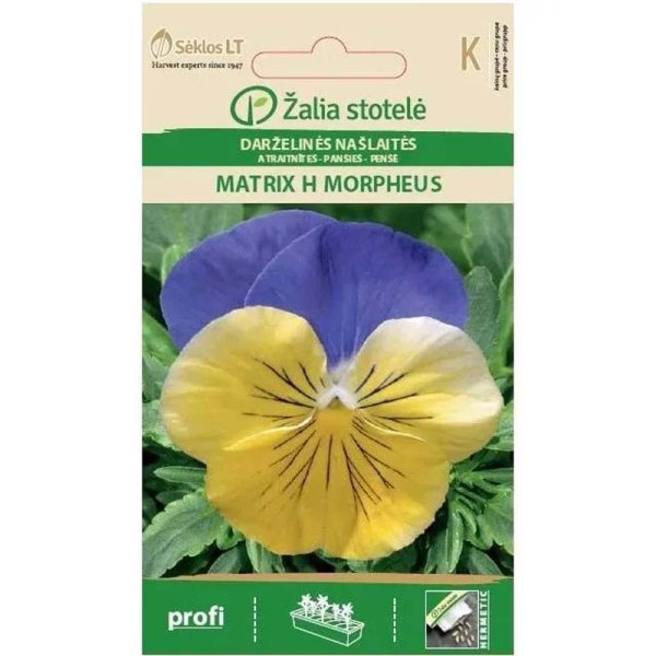 Zoom billede af Stedmoderblomst 'Matrix H Morpheus'
