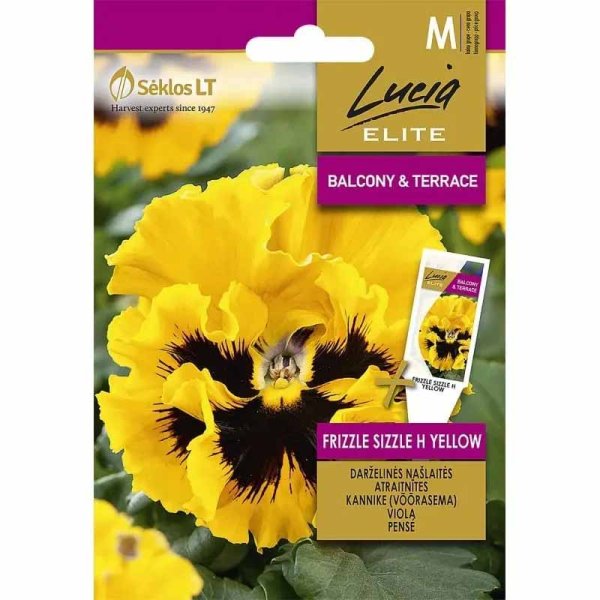 Zoom billede af Stedmoderblomst 'Frizzle Sizzle' H