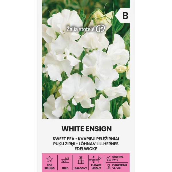 Zoom billede af Ærteblomst 'White Ensign'