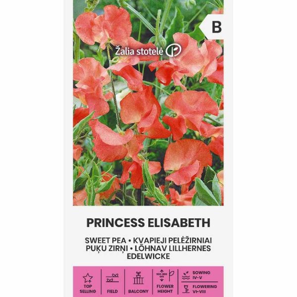 Zoom billede af Duftært 'Princess Elisabeth'