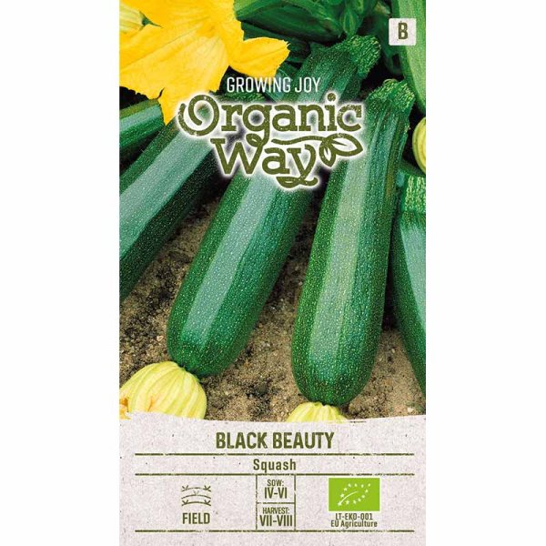 Zoom billede af Squash 'Black beuty'