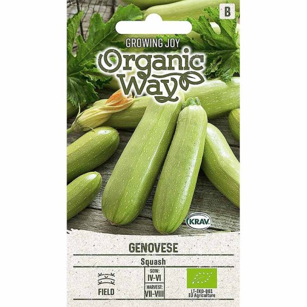 Zoom billede af Squash 'Genovese'
