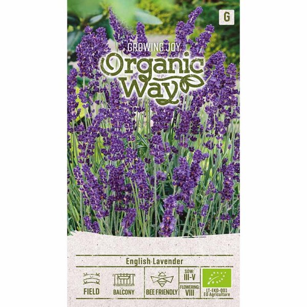 Zoom billede af Lavender 'English'