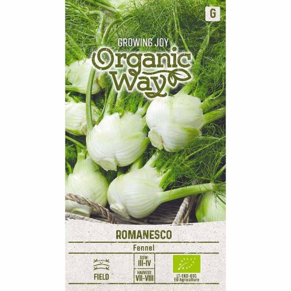 Zoom bilde av Fennikel 'romanesco'