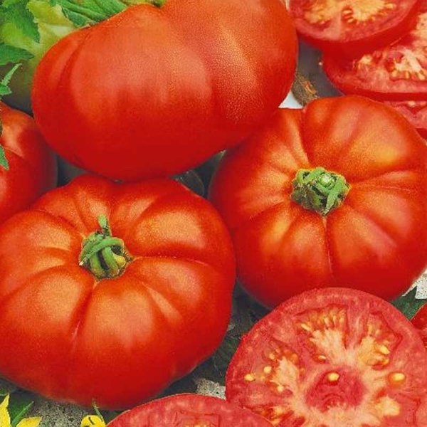 Zoom billede af Tomat 'Pantano Romanesco'
