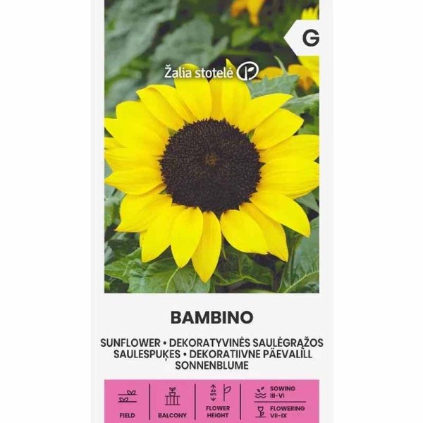 Zoom billede af Solsikke 'Bambino'