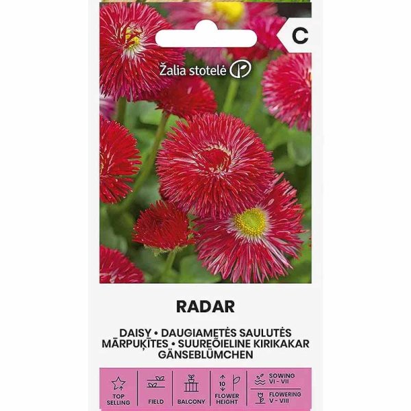 Zoom billede af Tusindfryd 'Radar'