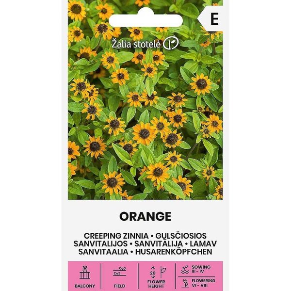 Zoom bilde av Sanvitalia Orange